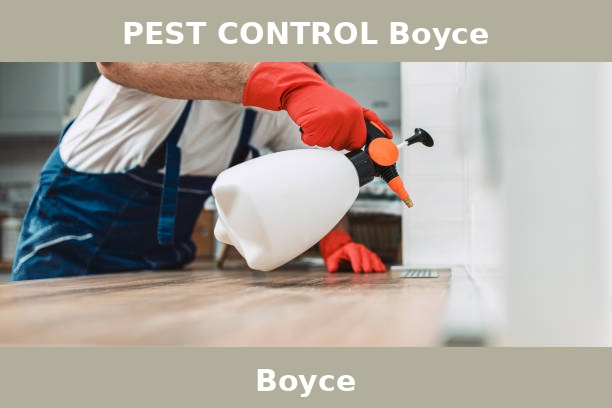 PEST CONTROL Boyce